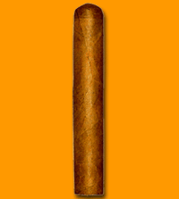 Shorts Slb Cab