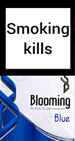 Blooming Blue Cigarettes pack